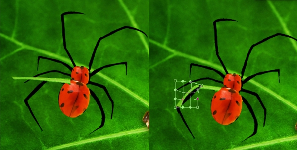 Creation of Ladybug Spider : Step 4